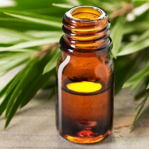 Olio essenziale di cajeput