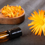 Calendula