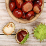 Ippocastano biologico