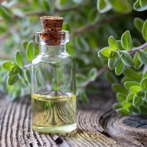 Olio essenziale di maggiorana