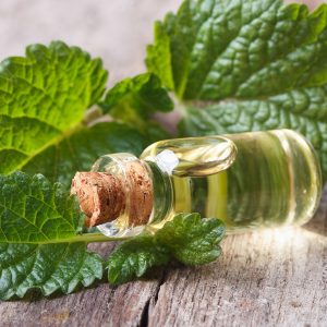 Olio essenziale di melissa