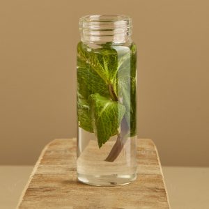 Olio essenziale di menta