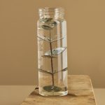 Olio essenziale di eucalipto