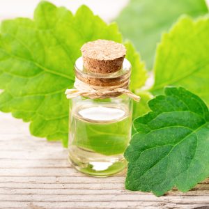 Olio essenziale di Patchouli