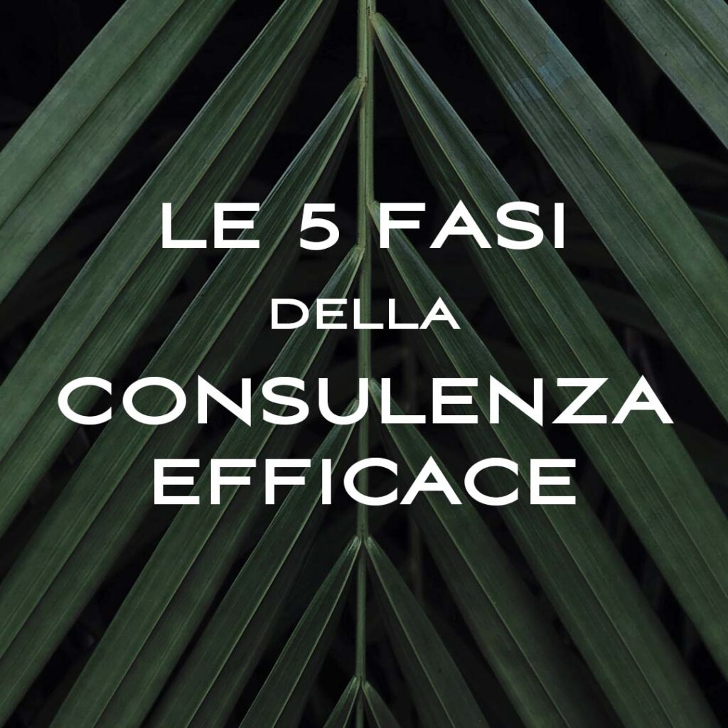Le 5 fasi della consulenza efficace